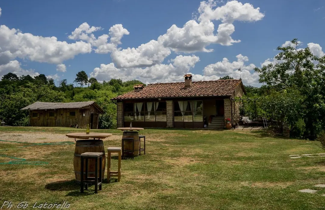 fattoria poggio di dante-1